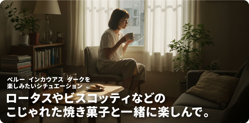 ペルー インカウアス-ダークを飲みたいシチュエーション
