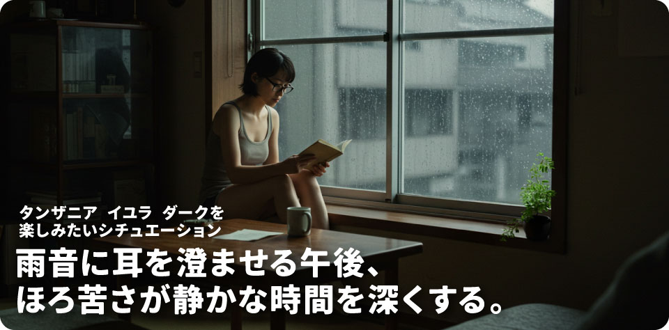 タンザニア-イユラ-ダーク_シチュエーション